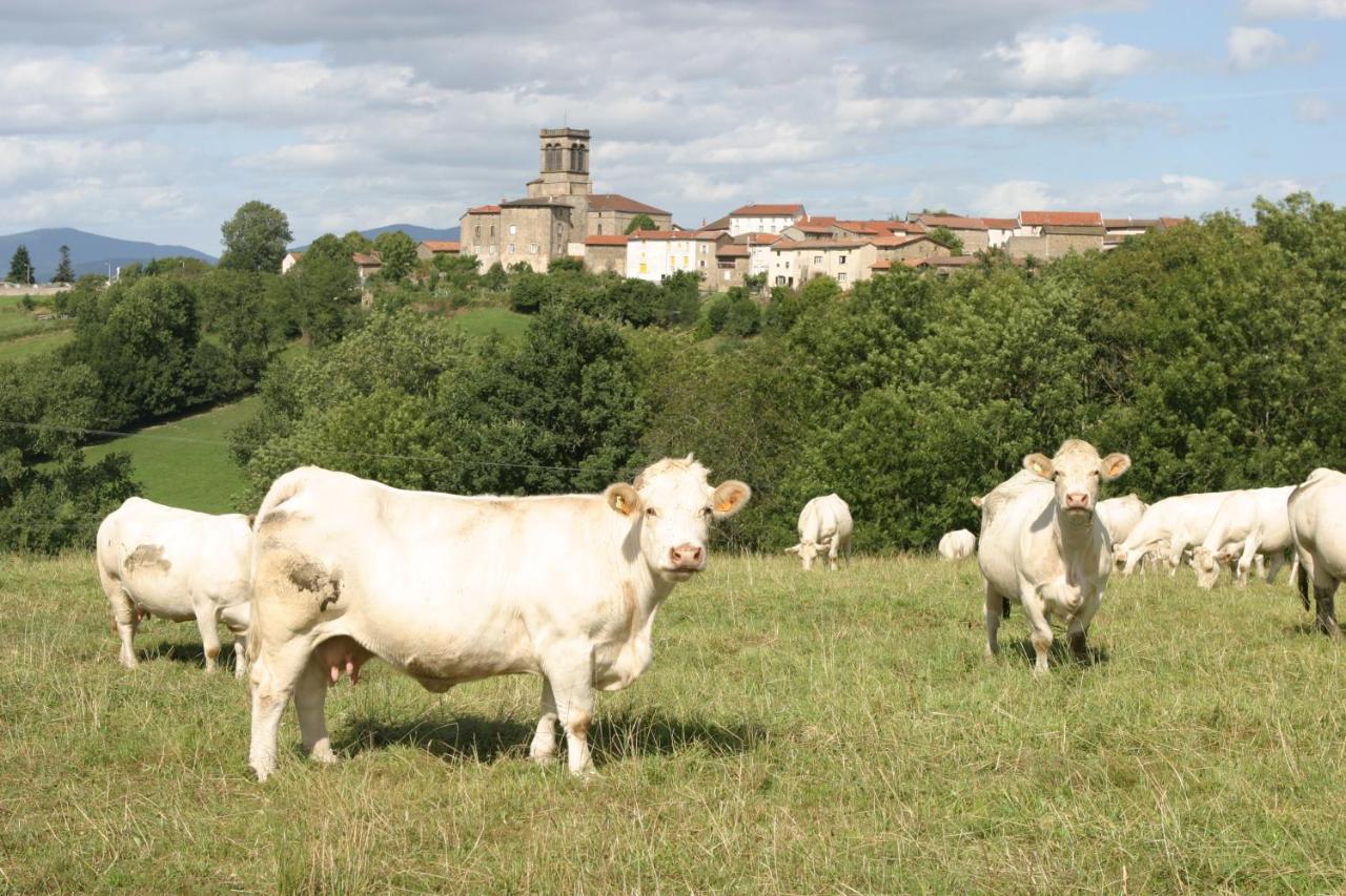 Bed and Breakfast La Paresse En Douce Tours-Sur-Meymont Экстерьер фото